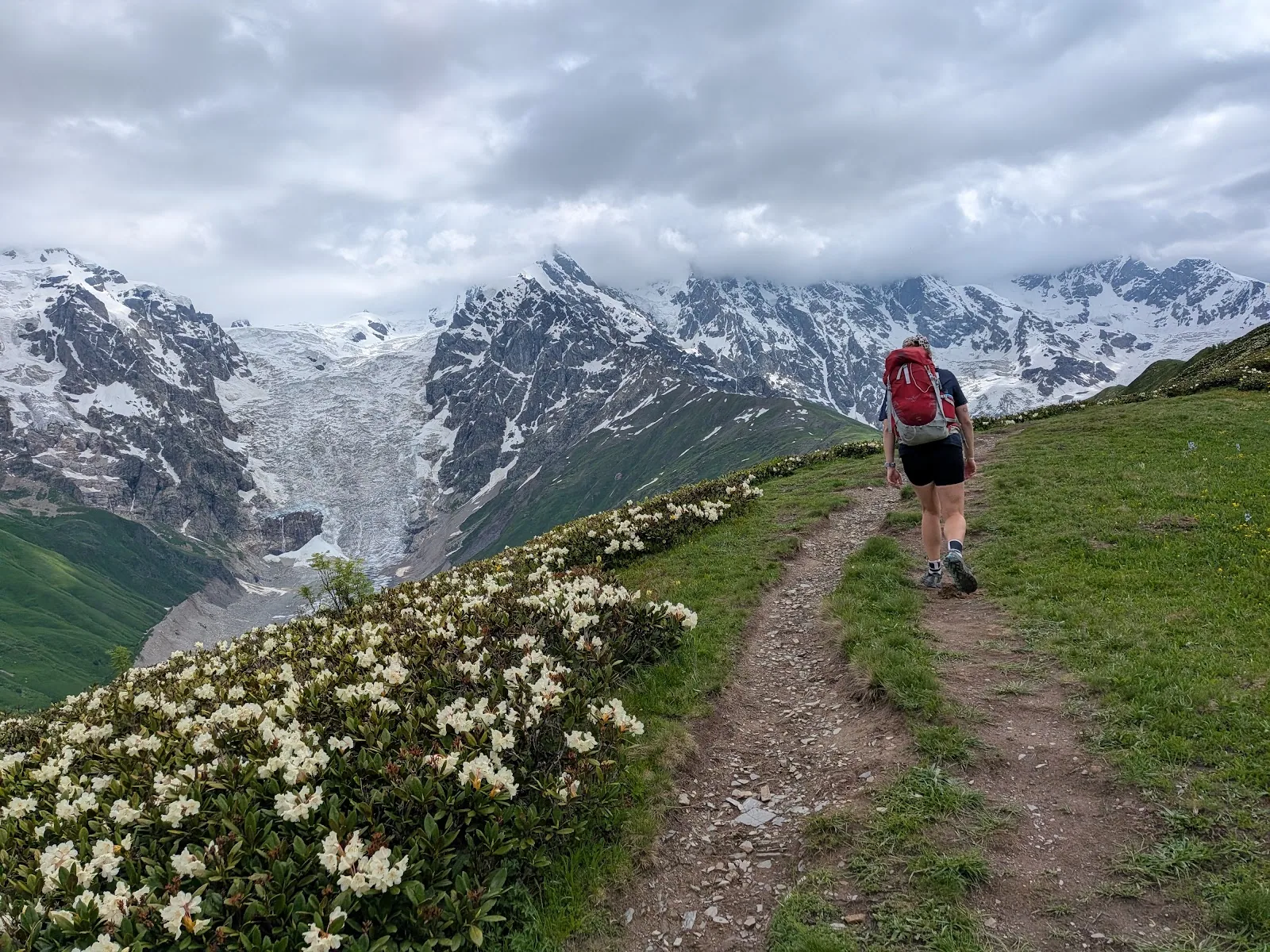 Sarah walking a ridge path toward a glacier between two peaks, white rhododendron in bloom along the trail.