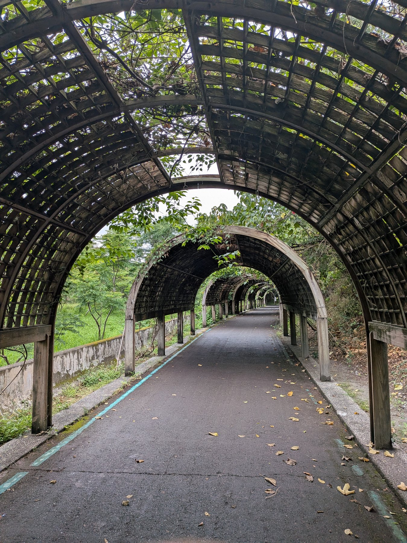 Green arched walkway in Taitung.