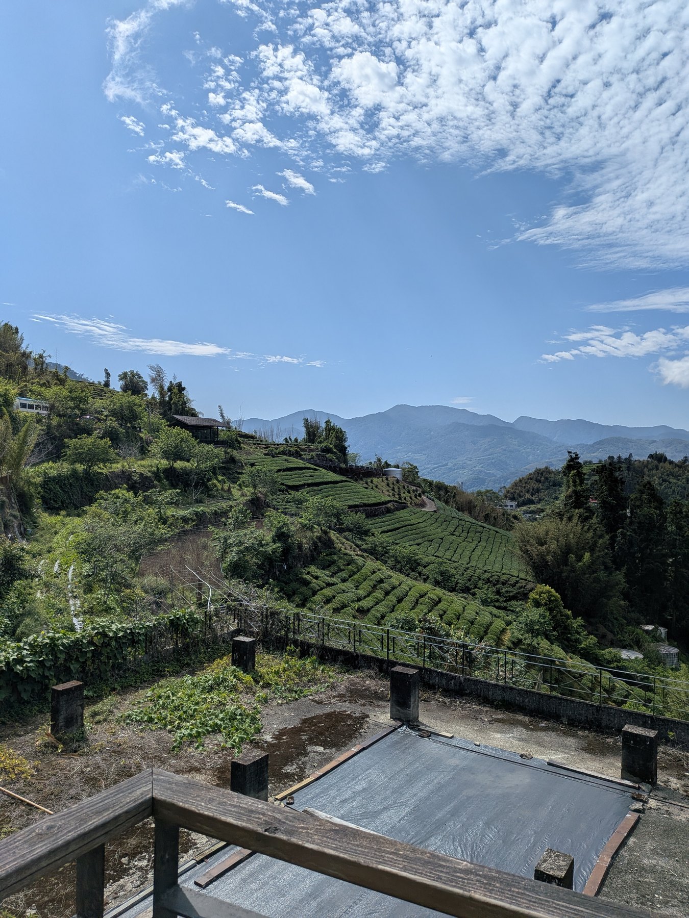 Tea terraces and mountains near Shizhuo.